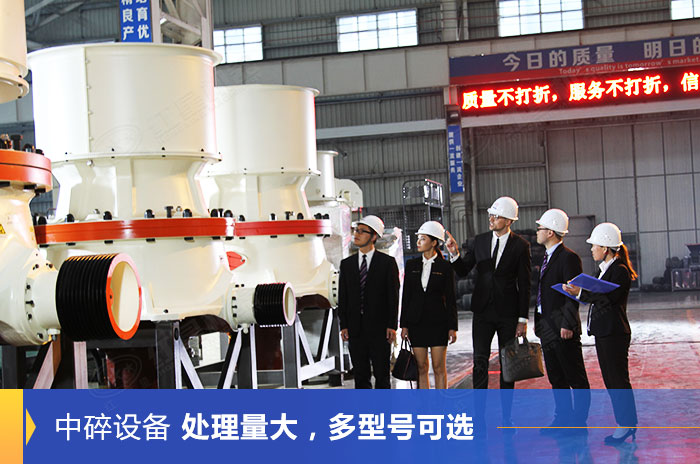 客戶到紅星機(jī)器廠區(qū)參觀設(shè)備